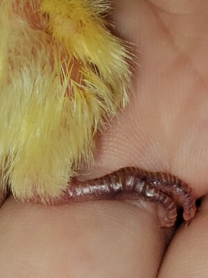 20200802_141616.jpg