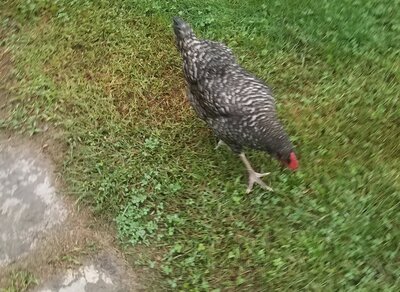 20180908_180043.jpg