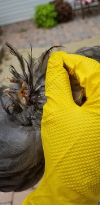 20200806_182629 (1).jpg