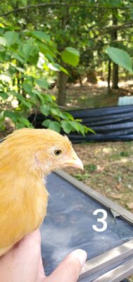 20200807_175222.jpg