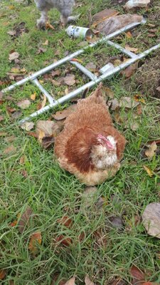 photo_2020-08-08_20-29-51 (2).jpg