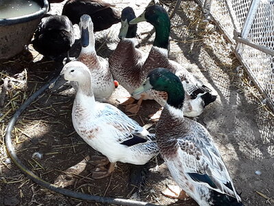20200811_103131.jpg
