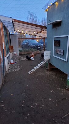 20191003_195105.jpg