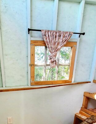 20200816_090519.jpg