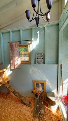 20200816_014053.jpg