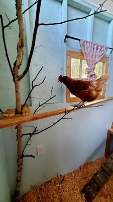 20200816_013721.jpg