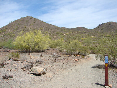 sonoran-desert-preservedesert-vista-trail-db (1).jpg