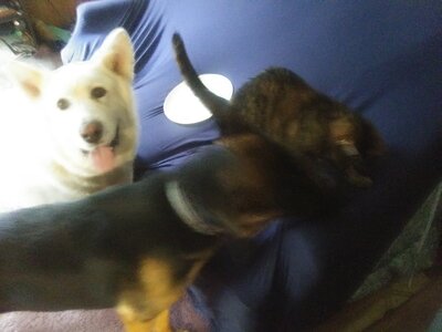 20200817_102847.jpg