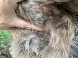 C50E8BBF-7D12-450D-AB42-BD9E17DE2DF5.jpeg