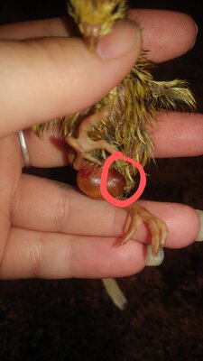 20200817_190829~2.jpg