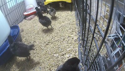 0AAFA7F3-8B71-49FD-8547-F3355DFF9ED1.jpeg