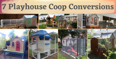 7 Playhouse Coop Conversions
