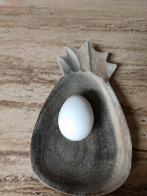 first leghorn egg.jpg