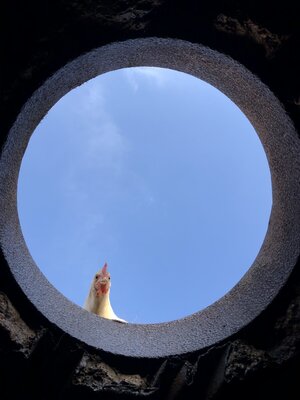 Hello Down There.JPG
