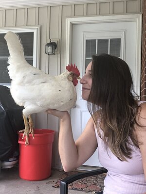 Nose to Nose.JPG