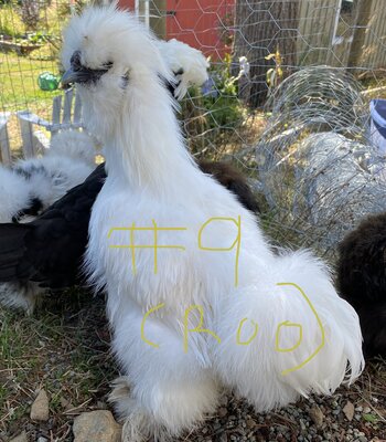 2112AA8D-4BEC-40D4-B8D2-96987EBDD0B0.jpeg