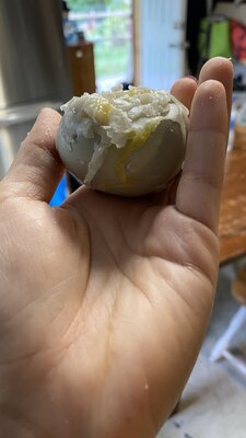 6CB34771-42ED-47B0-962B-EE641F90F7B0.jpeg