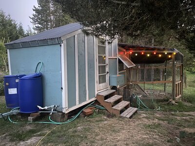 WINGED WOODS ON WHEELS, AN  OPEN AIR STYLE COOP (ongoing)