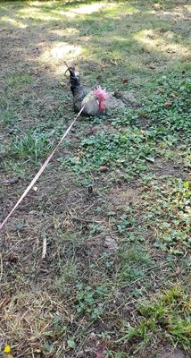 received_361705131889121.jpeg