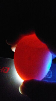 20200827_214725.jpg