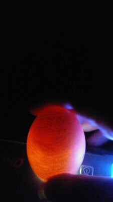 20200827_214925.jpg