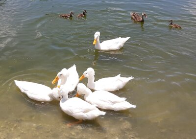 20200828_141211.jpg