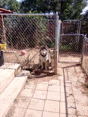 IMG_20200830_110910.jpg
