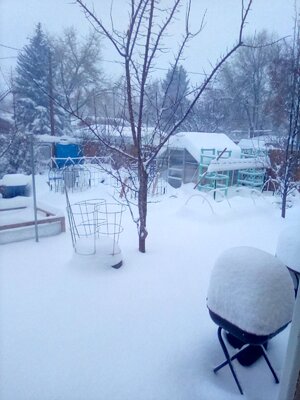 IMG_20191126_065723.jpg