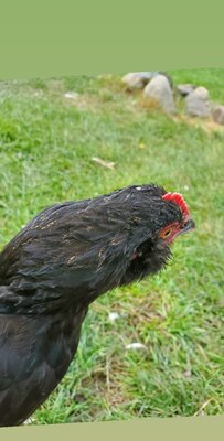 IMG_20200830_174523_492.jpg