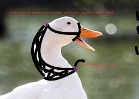 Image 8-30-20 at 7.56 PM.jpeg