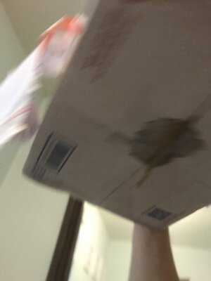 074DDD9F-0869-4BB3-85BD-E645B1B84391.jpeg