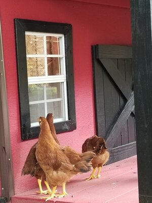 20190706_101909.jpg