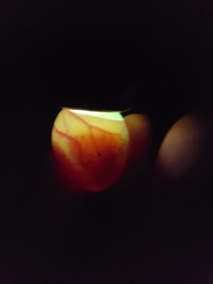 20200725_155142.jpg