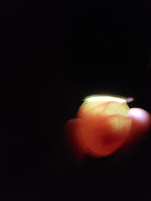 20200725_155158.jpg