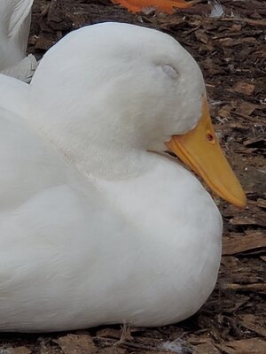 20200901_183438.jpg