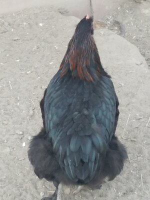 20200901_181002.jpg