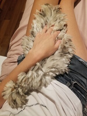 20200904_222454.jpg