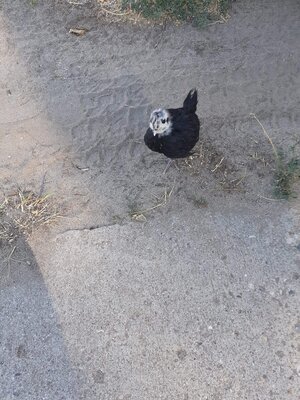 received_606719743277149.jpeg