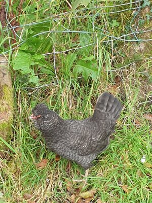 20200906_141745.jpg