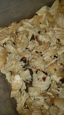 20200907_100103.jpg