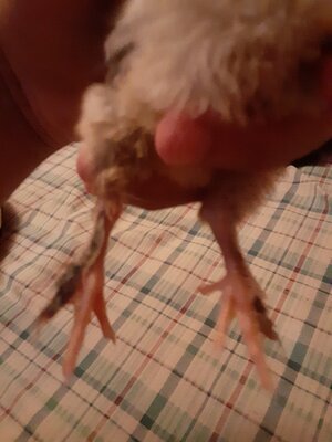 20200907_220311.jpg