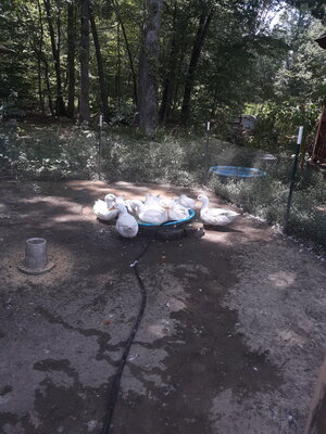20200802_140042.jpg