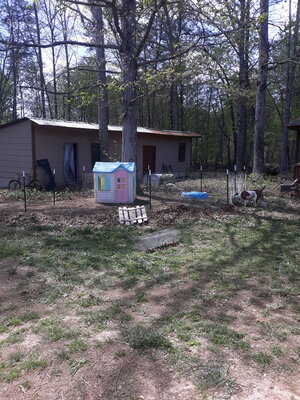 20200410_131015.jpg