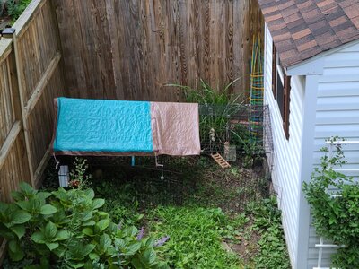 20200908_184302.jpg