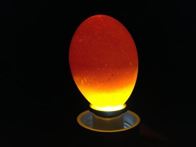 480B9E11-897E-4F6C-8E52-D46C222A7E2B.jpeg