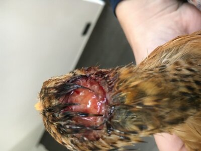 01196366-69AB-4F0E-8F8E-800429EF1B20.jpeg