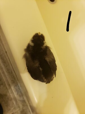 20200909_213617.jpg