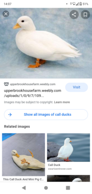 Screenshot_20200910-140748.png