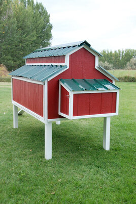 1800-chicken-coop-2(1).jpg