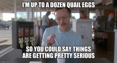 4eo4cg.jpg